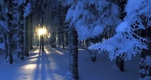 Täna kuulutatakse Tartus välja jõulupühade ajal kehtiv jahirahu