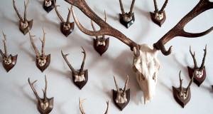 Trofeede mõõtmine Pärnu-Viljandi regioonis