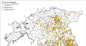 12 SAK positiivset proovi