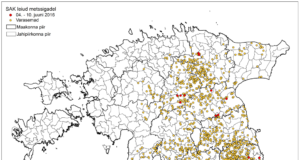 36 SAK positiivset proovi