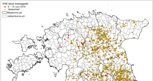 34 positiivset SAKi proovi