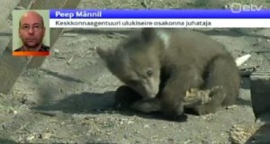 Pesalt tõusnud emakarust