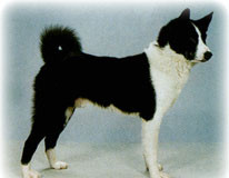 Laikade metseatöö Meistrivõistlused 2015