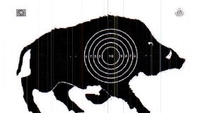 Metssigade küttimismaht ja selle jaotus jahipiirkondades