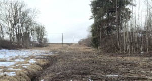 Kolga-Jaani ja Viiratsi jahipiirkonna piiride muutmise algatamine