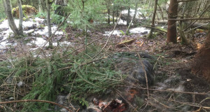 27 positiivset SAKi proovi