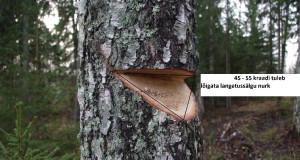 EJ2015/1: Kuidas teha soolakuid ohutult, turvaliselt ja targalt