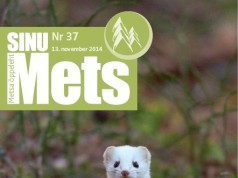 Õppeleht Sinu Mets jätkab ilmumist Postimehe vahel