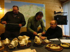 Regionaalsed trofeede näitused (täiendatud 06.04)