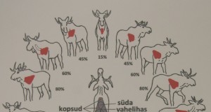 EJ2015/1: Põdrakellast ja “Kütiliinist”