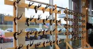 Jahitrofeede kataloog, medalid ja diplomid