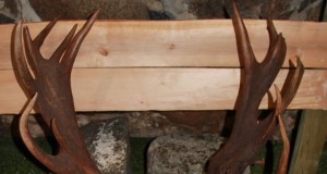 Jahimehed kutsuvad trofeesid vaatama!