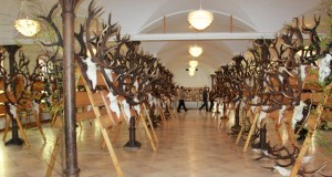 Läti jahitrofeede näitus (täiendatud piltidega)