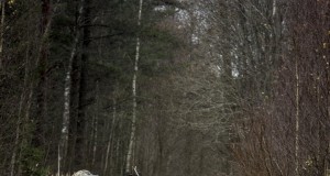 Eesti vägevaim jahiauto on valitud!