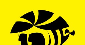 Summukas viib kokkutulekul kõrgustesse