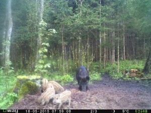 P060-371-256-366-12051