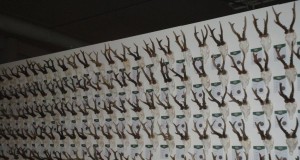 Eesti esindus jõudis Tšehhi trofeenäitusele kohale