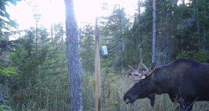 EJ2015/3: Habe aitab langetada õiget valikut