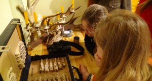 “Märka ulukit!” Põlvamaal