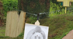 Tänavu võib küttida 51 karu