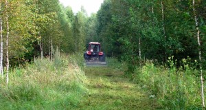 Leili metsablogi: Metsasihid jahimeeste abiga jälle puhtad