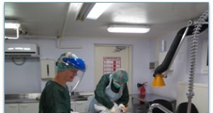 Esimese nädalavahetusega edastati Tartu laborisse 40 vereproovi