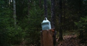 Piltuudis: orav soolakul