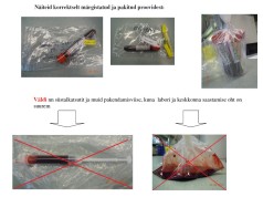 Kütitud metssigadelt SAKi uuringuks proovide võtmine, pakkimine ja laborisse saatmine (uus juhend!)