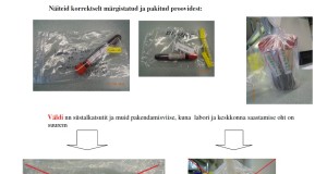 Kütitud metssigadelt SAKi uuringuks proovide võtmine, pakkimine ja laborisse saatmine (uus juhend!)