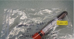 Veterinaar- ja Toiduamet hakkab laupäeviti metssigade proove vastu võtma