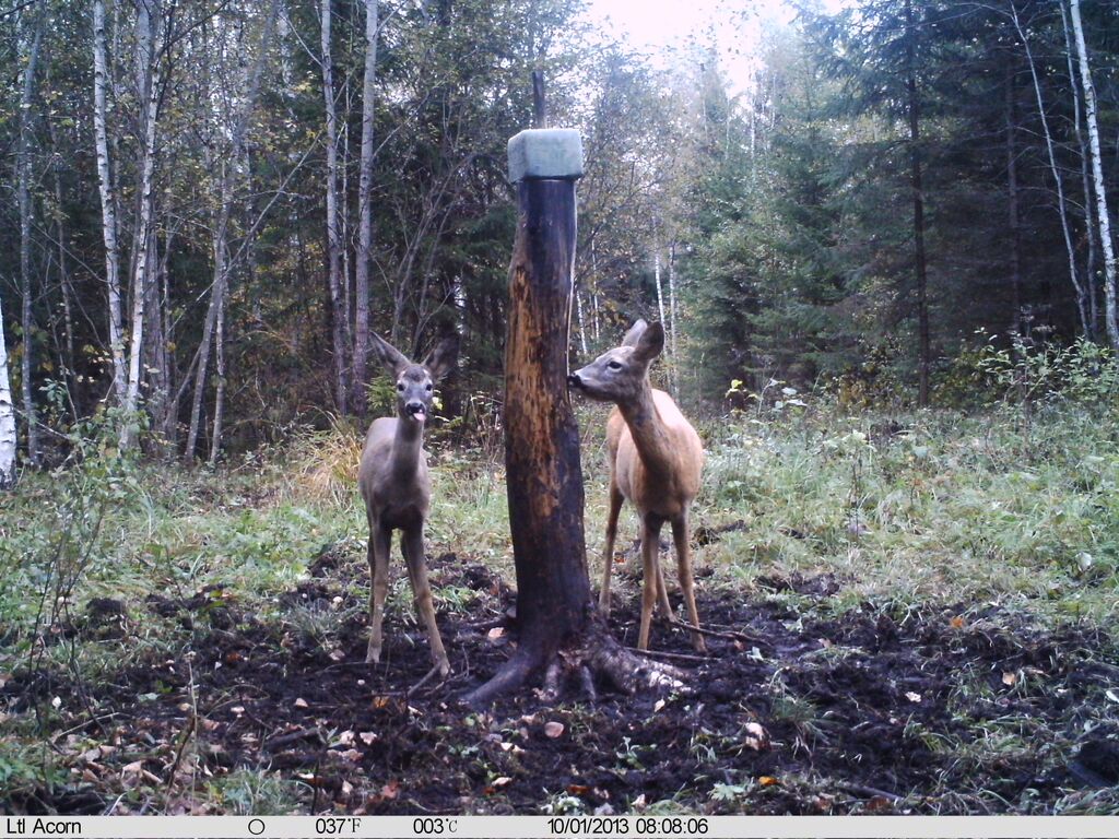 c1LFvPpyEzG9fA1cNmXLDEQoD959GEI9XVxMPnWtTVM