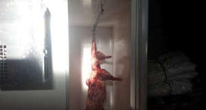 Esimesed külmkambrid on maakondadesse paigutatud