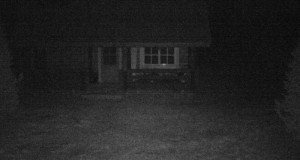 Piltuudis: ilves Vormsi saarel koduõuel