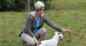 Jahikoerte erinäitus 2016