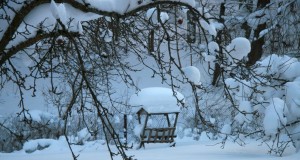 TULE JAHIRAHU VÄLJAKUULUTAMISELE! Registreerimine EJS kodulehel.