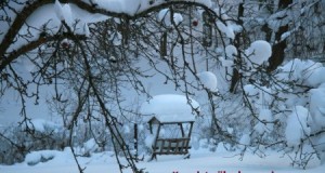 EJSi lahtiolekuaegadest