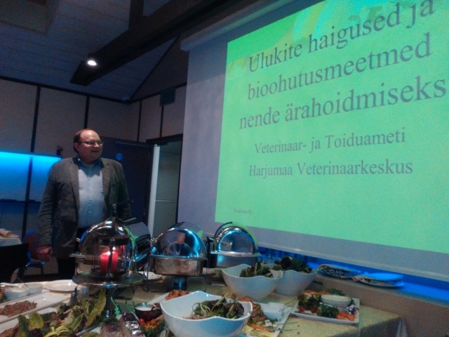 Kostivere aastalõpupidu