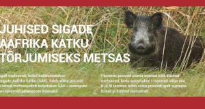 Juhised SAKi tõrjumiseks metsas