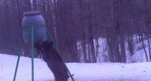 Rajakaamera võistluse võitjad