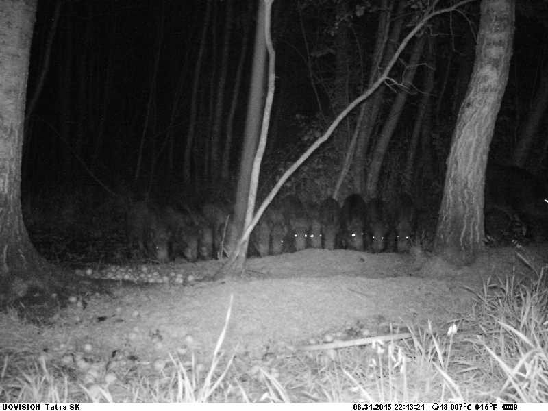 MV I Rajakaamera (76)