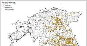 57 SAK positiivset proovi