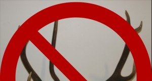 Jahitrofeede sissevedu väljastpoolt ELi ei keelustatud!