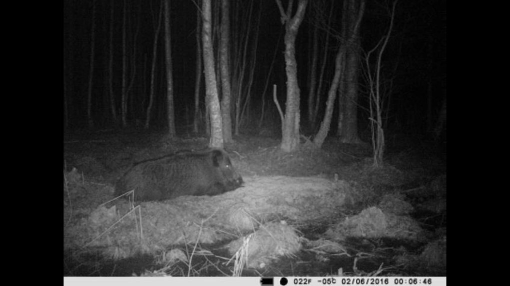 Screenshot_2016-02-06-00-42-45