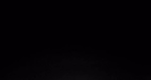 Piltuudis: kährikud poseerivad