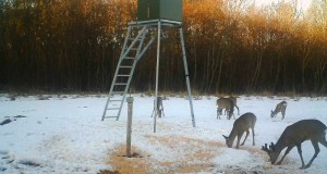 Piltuudis: õhtusöök kuuele