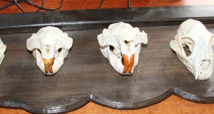 EJSi õppekogu täienes veelgi