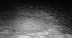 Piltuudis: uus “jahiuluk”