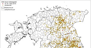 20 SAK positiivset proovi