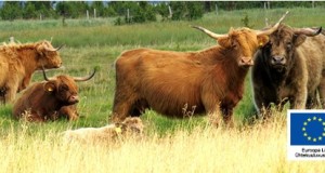 Kutse seminarile “Toetused poollooduslike alade säilitamiseks” 11.04.16 Haapsalus