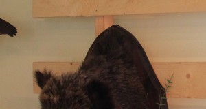 SAKi infopäevast meedias